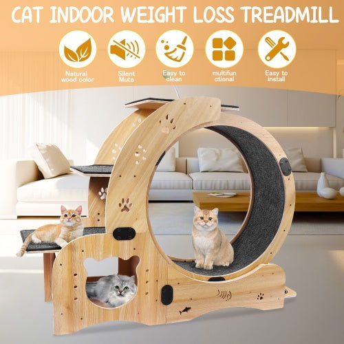 Cat Wheel 6-in-1 Fitness Wheel – Large Indoor Cat Treadmill with Silent Rollers (Upgraded Version)