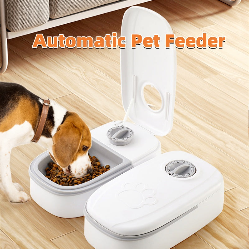 Automatic gravity pet feeder with stainless steel bowl in pink or grey, single or double version
